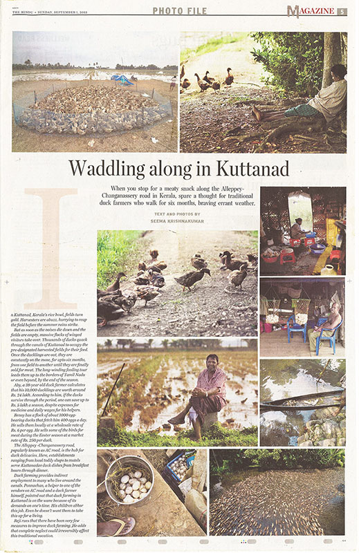 Waddling along Kuttanad